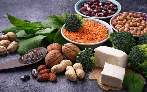 plant-based-protein